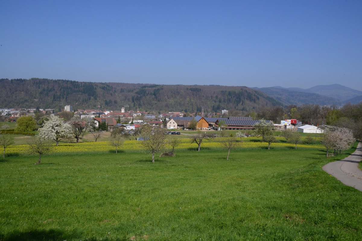 Reitanlage Gelaende von Gestüt Sengelen GmbH